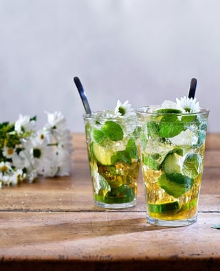 pickwick recipes mint iced tea