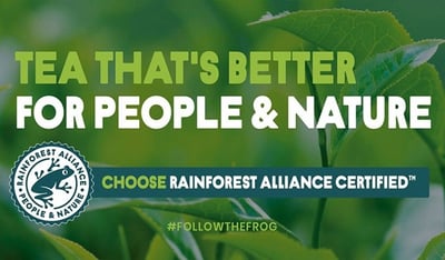 rainforest alliance logo